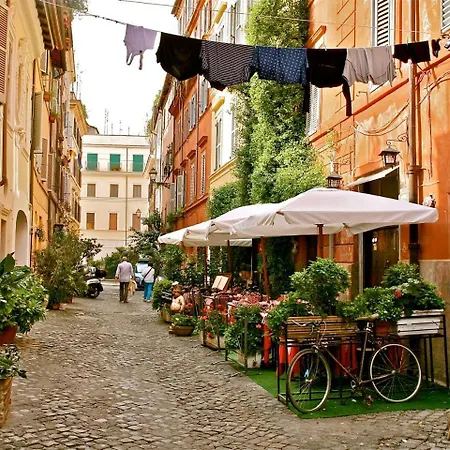 Magenta Collection Egidio * Roma